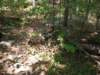 img_20210901_120317032_small.jpg