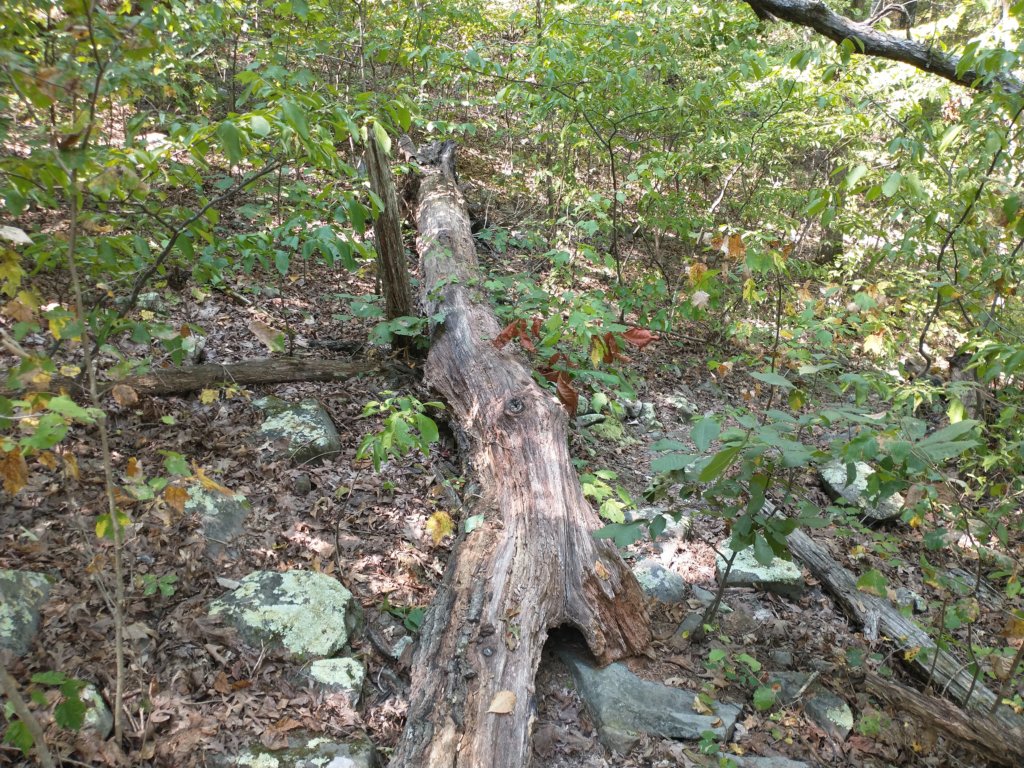 img_20210901_120606696.jpg