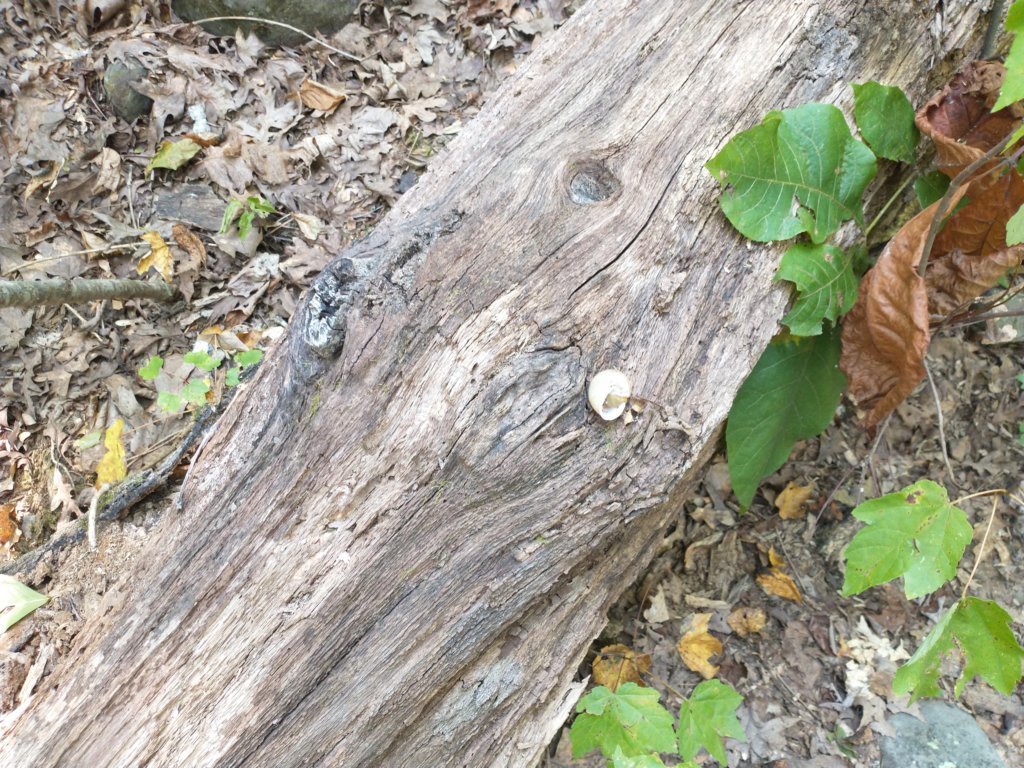 img_20210901_120639997.jpg