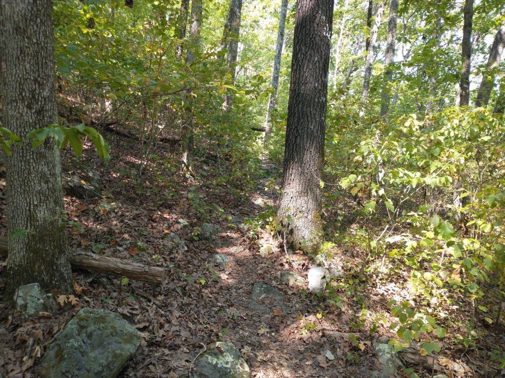 img_20210901_120735796.jpg