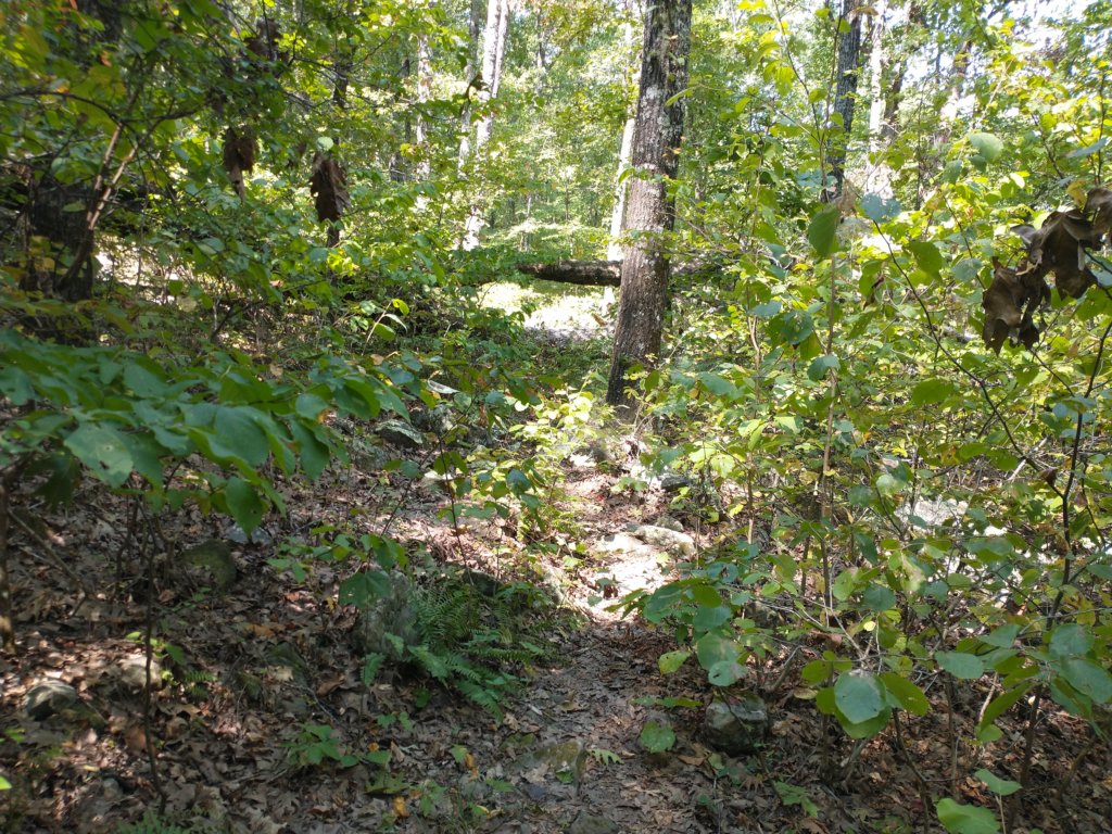 img_20210901_120808850.jpg