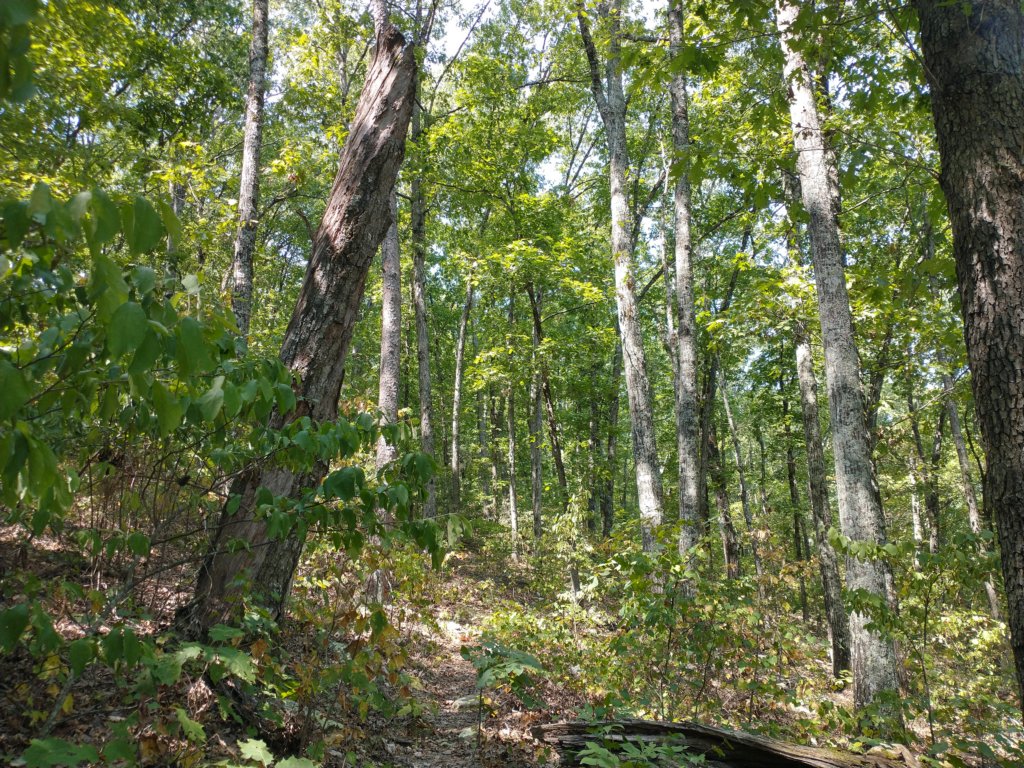 img_20210901_121157343.jpg