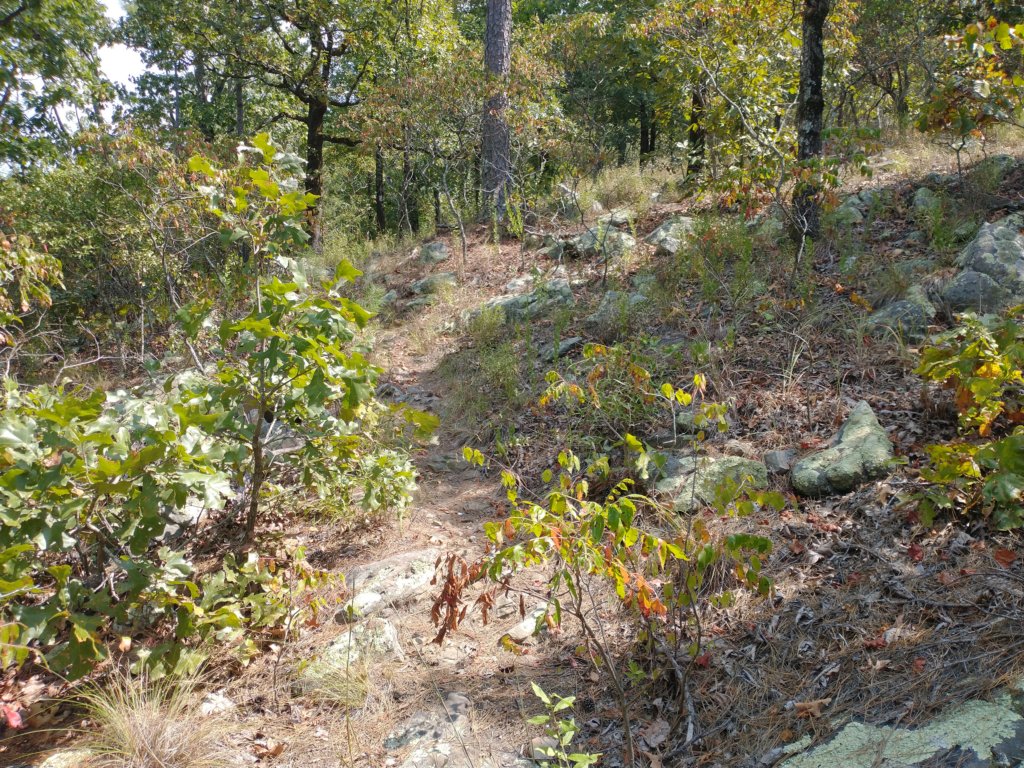 img_20210901_122224994.jpg