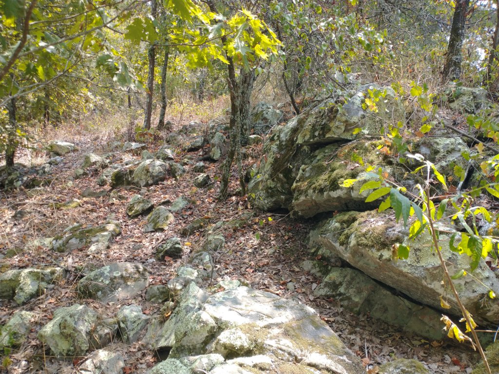 img_20210901_124433714.jpg