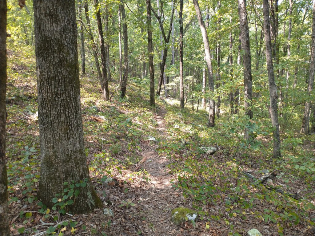 img_20210901_131507836.jpg