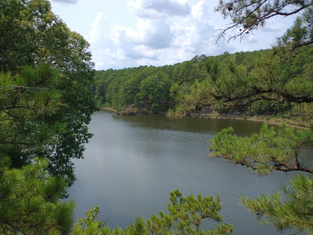 img_20210901_134143206.jpg