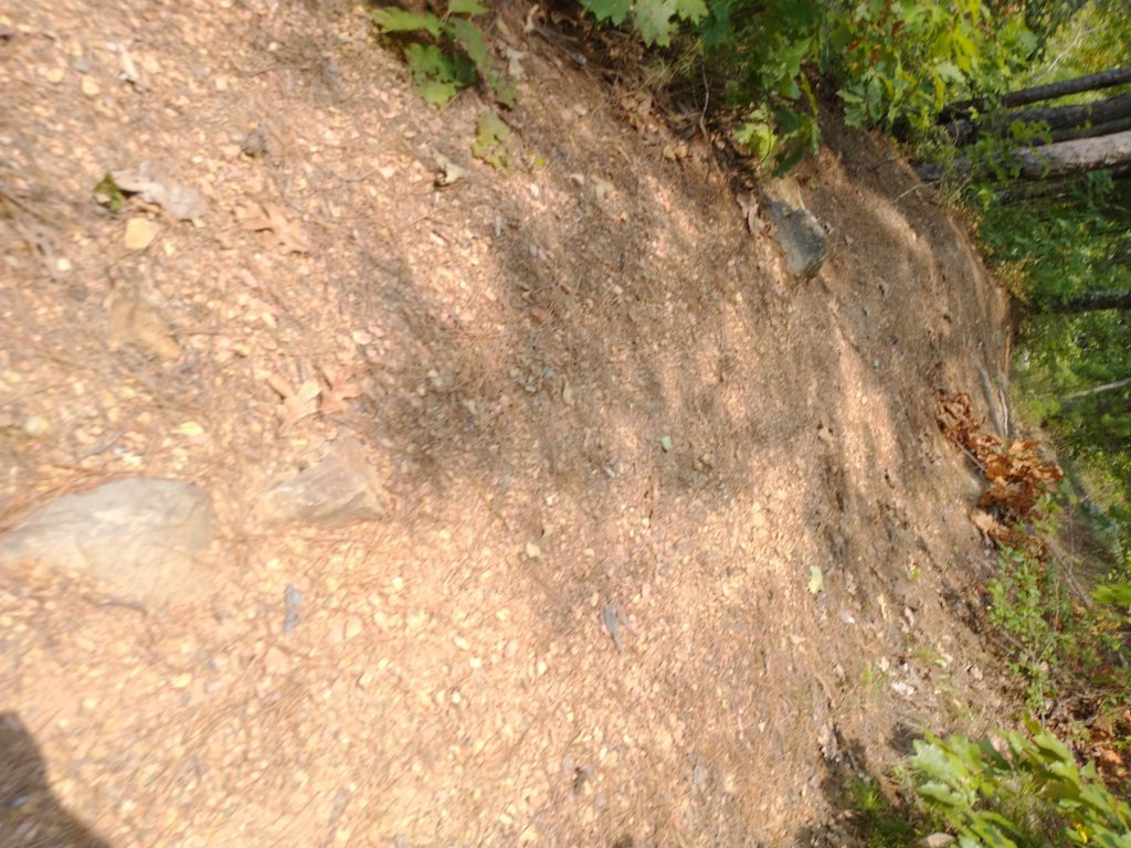 img_20210901_135537885.jpg
