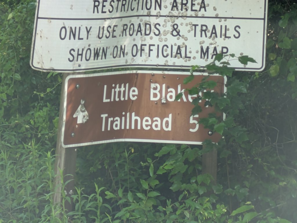 pxl_20250517_143859646.jpg