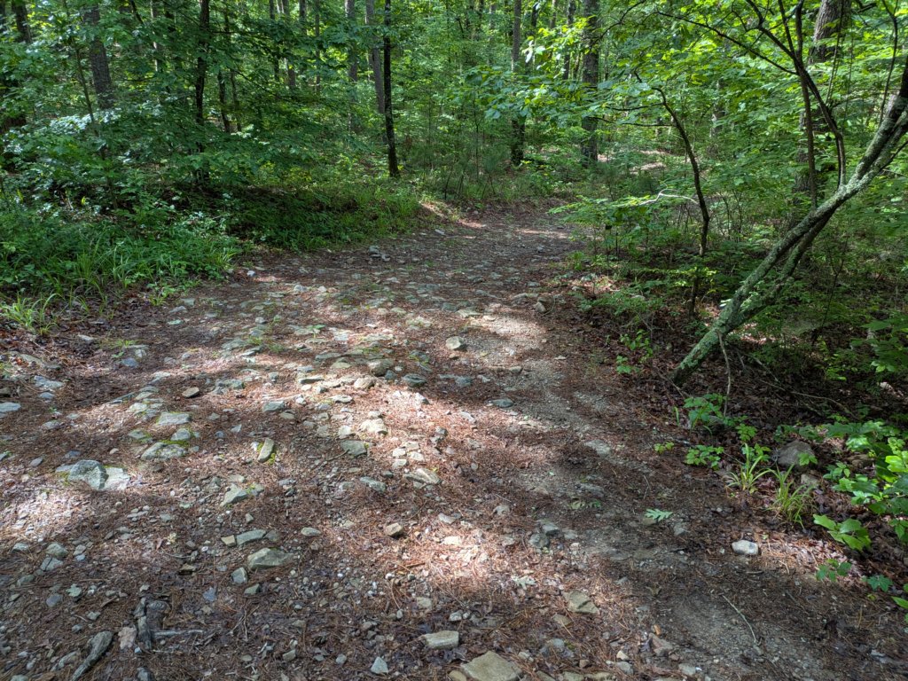 pxl_20250517_150032222.jpg