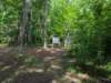 pxl_20250517_150203301_small.jpg