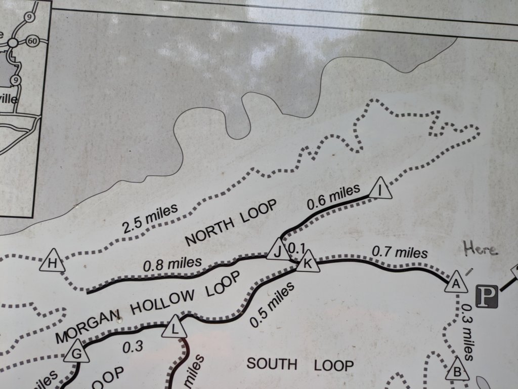 pxl_20250517_150334713.jpg