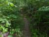 pxl_20250517_150356036_small.jpg