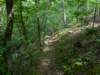 pxl_20250517_150505167_small.jpg