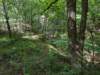 pxl_20250517_150511748_small.jpg