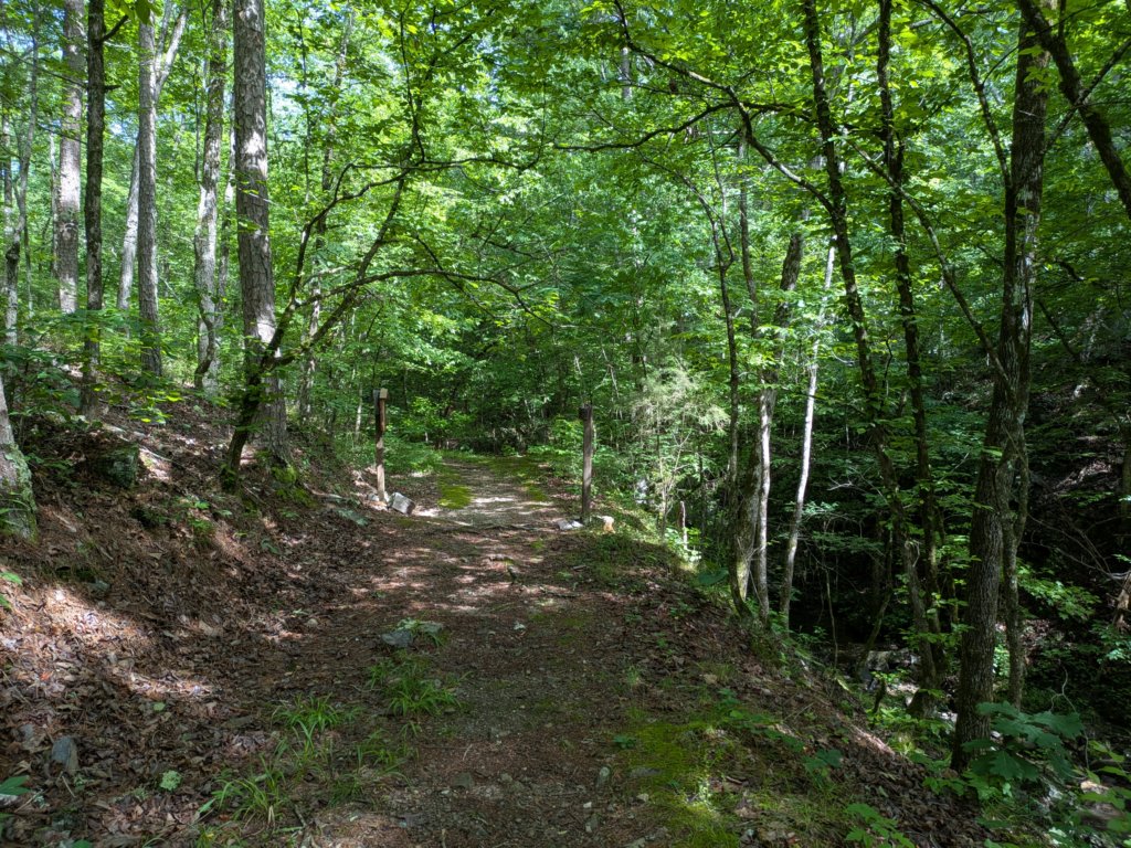 pxl_20250517_151052226.jpg