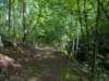 pxl_20250517_151052226_small.jpg