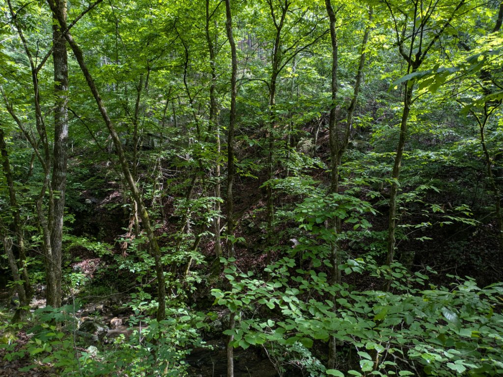 pxl_20250517_151055177.jpg