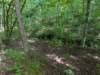 pxl_20250517_151135227_small.jpg