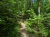 pxl_20250517_151249870_small.jpg