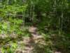pxl_20250517_151323672_small.jpg