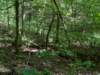 pxl_20250517_151350784_small.jpg