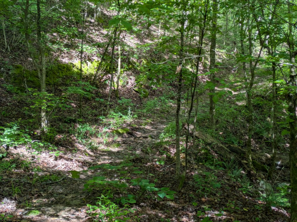 pxl_20250517_151353643.jpg