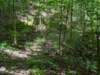 pxl_20250517_151353643_small.jpg