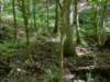 pxl_20250517_151406134_small.jpg