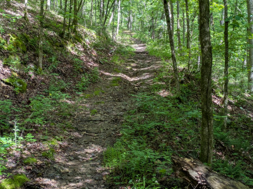 pxl_20250517_151408644.jpg