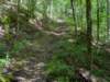 pxl_20250517_151408644_small.jpg