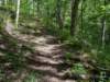 pxl_20250517_151437136_small.jpg