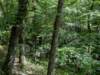 pxl_20250517_151510351_small.jpg