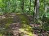 pxl_20250517_151512888_small.jpg