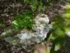 pxl_20250517_151555732_small.jpg
