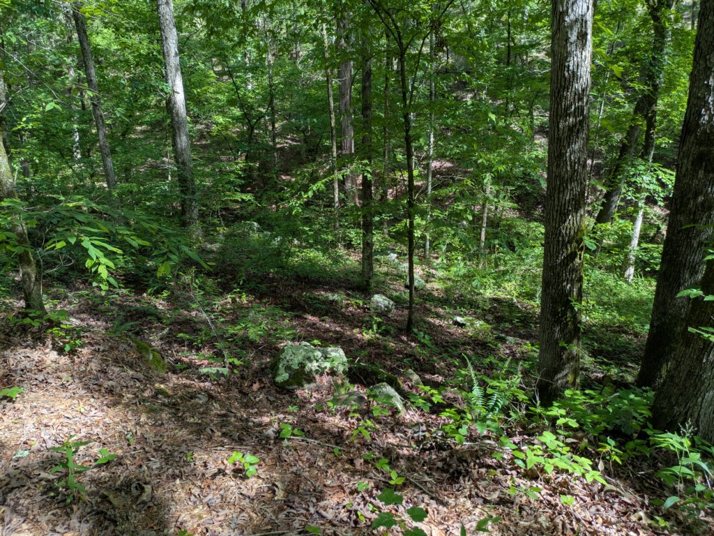 pxl_20250517_151631745.jpg