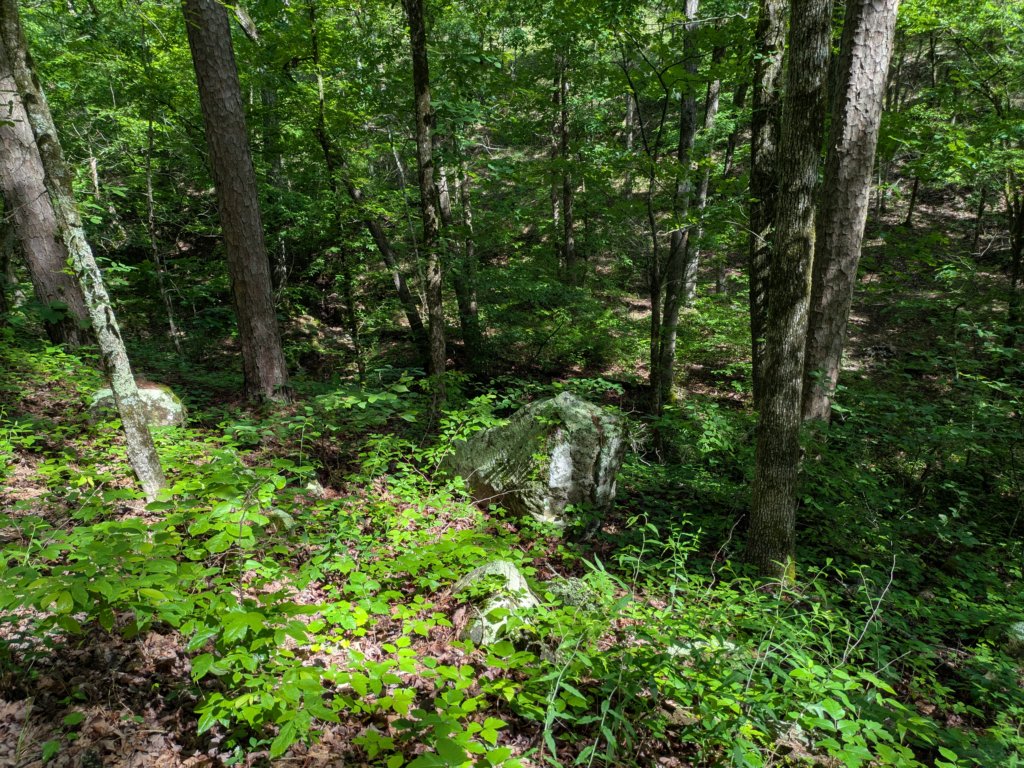 pxl_20250517_151704795.jpg