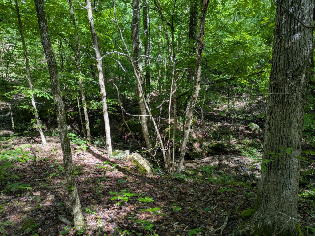 pxl_20250517_151800504.jpg