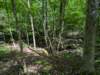 pxl_20250517_151800504_small.jpg