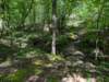 pxl_20250517_151810926_small.jpg