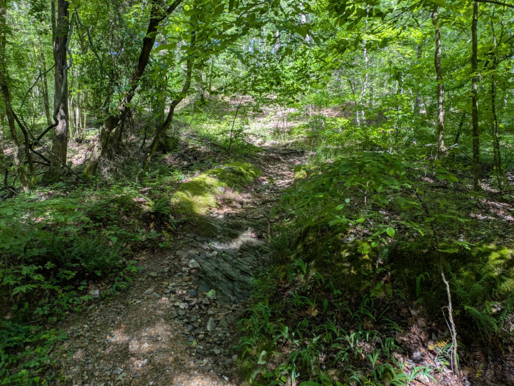 pxl_20250517_151832571.jpg