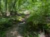 pxl_20250517_151832571_small.jpg