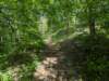 pxl_20250517_152119171_small.jpg