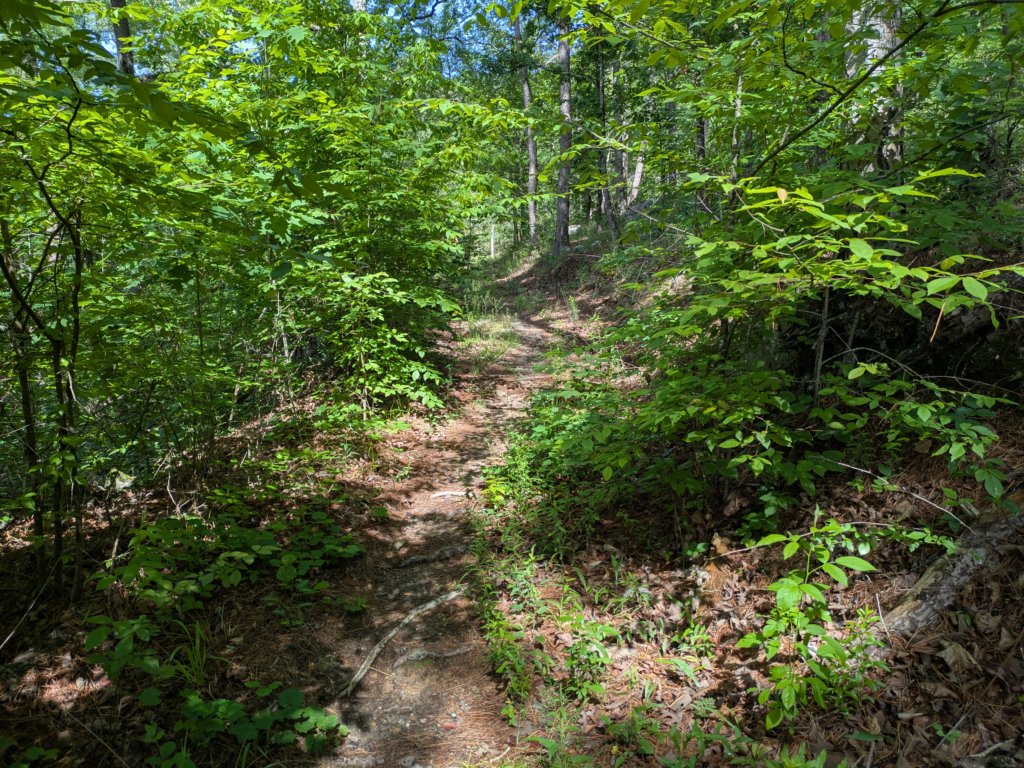pxl_20250517_152403715.jpg