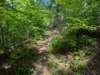 pxl_20250517_152403715_small.jpg