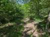 pxl_20250517_152454276_small.jpg