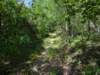 pxl_20250517_152527576_small.jpg