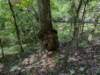 pxl_20250517_152621791_small.jpg