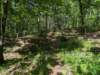 pxl_20250517_152744923_small.jpg