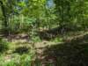 pxl_20250517_152748655_small.jpg