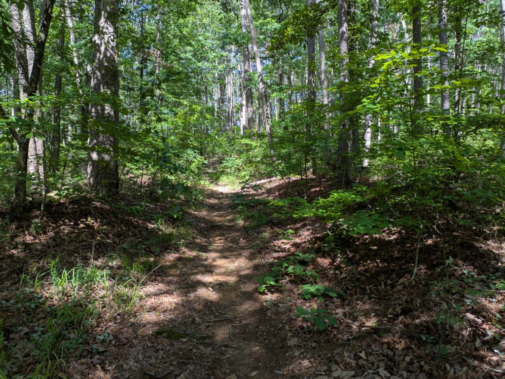 pxl_20250517_153103890.jpg